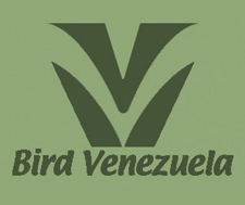 Birds and Birding in Venezuela - bird lists, book reviews, tour information, itineraries, conservation projects