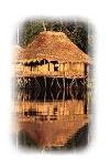 ECUADORIAN AMAZON