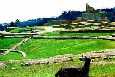 Resting at the Inca ruins of Ingapirca