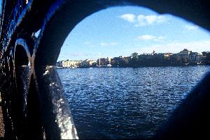 A toddler's eye view of the embankment
